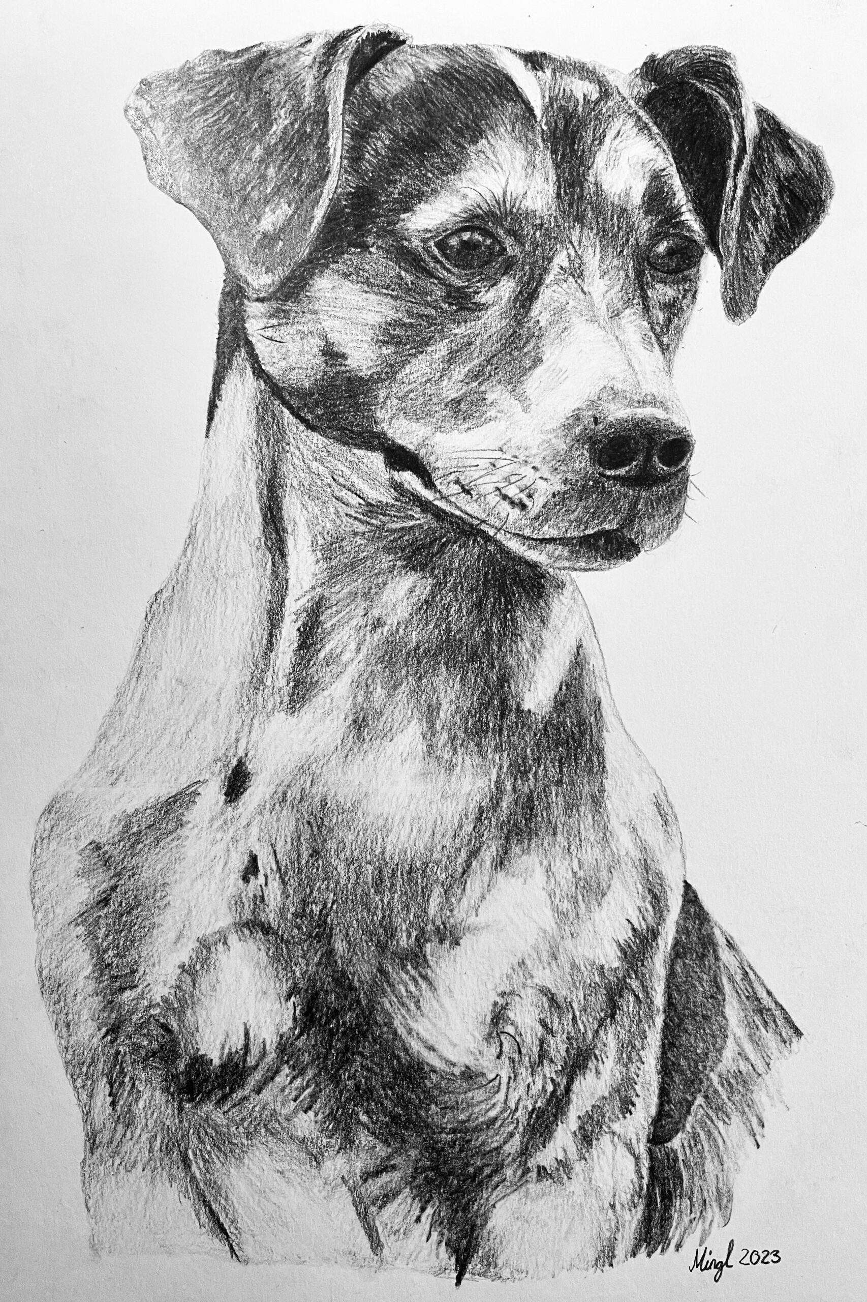Jack Russel – zeitgenössisches Originalkunstwerk von Mingl